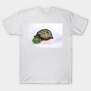 Marshal The Turtle T-Shirt